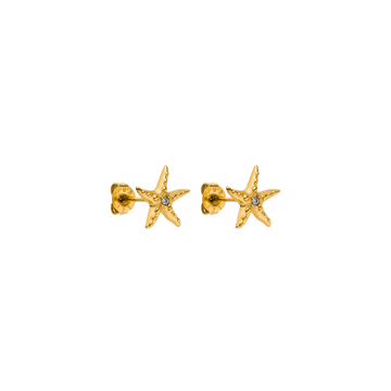 PURELEI Aloha Starfish Ohrringe aus 18K vergoldetem Edelstahl mit funkelndem Zirkonia – femininer Island-Spirit.