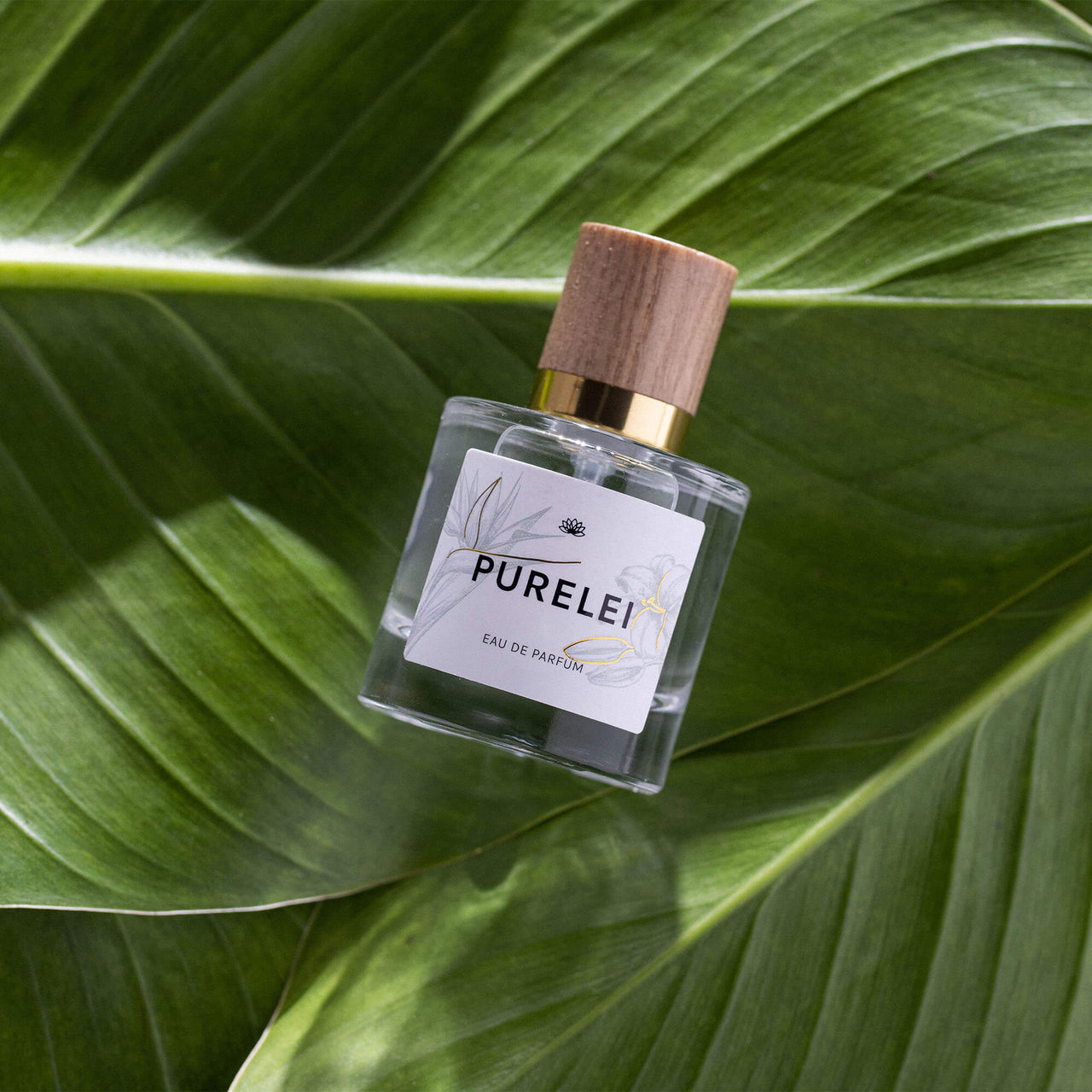 PURELEI Eau de Parfum Flakon mit Holzdeckel auf grünen Blättern, blumig-frische & warme Duftrichtung